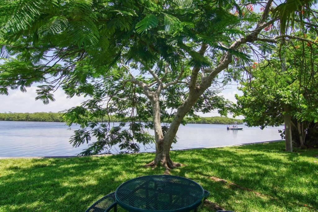 Sea Breeze, Studio 510, Beach Steps Away!+Pool+Wifi Ruskin Eksteriør bilde